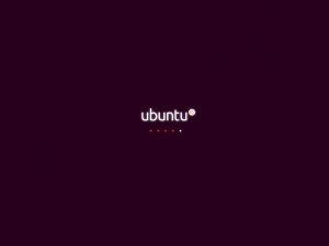 Ubuntu14Inst03